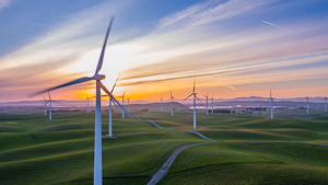 Renewables